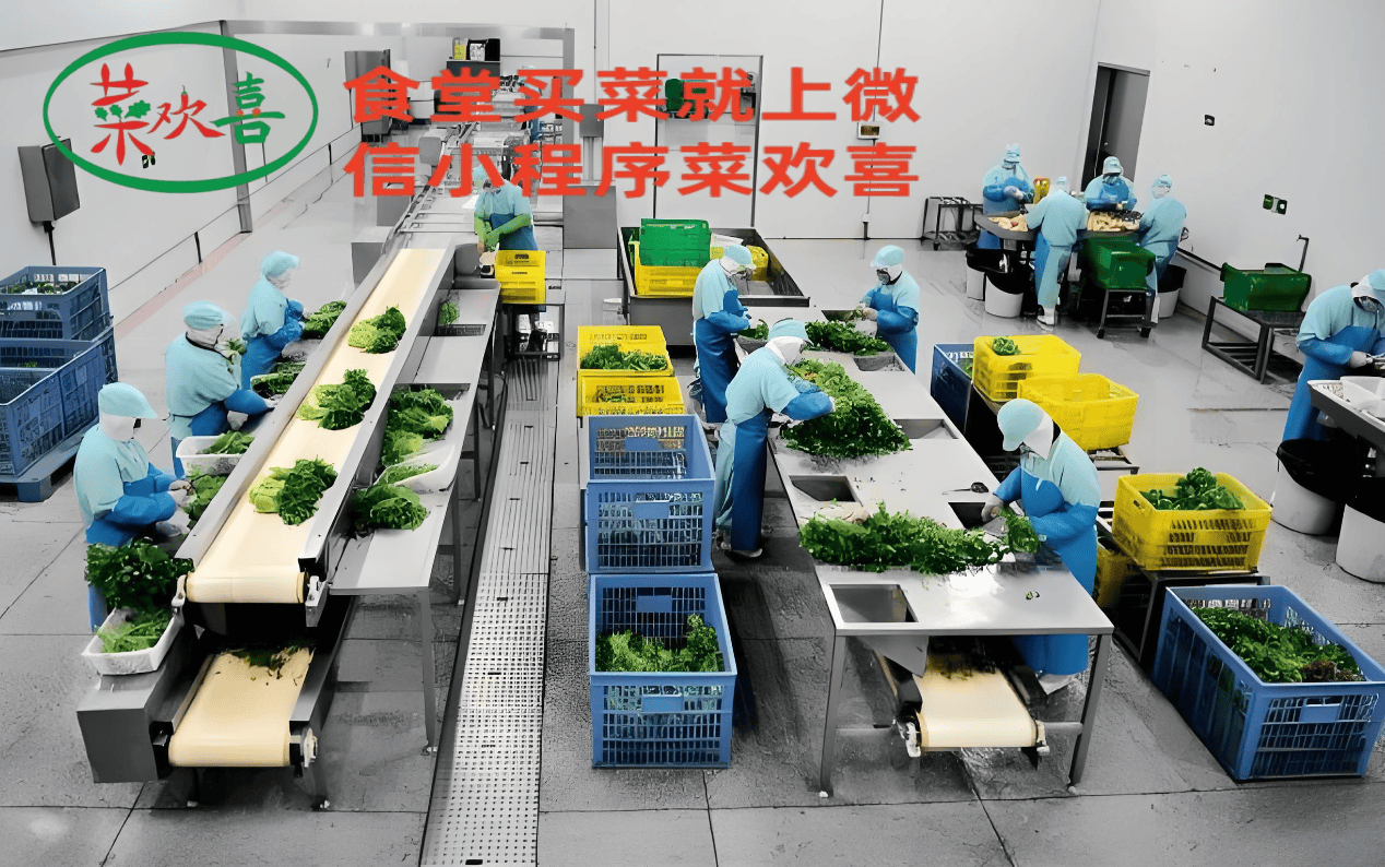 泉州市蔬菜配送市場“菜歡喜”農產(chǎn)品銷得快 計算機信息技術的應用與啟示